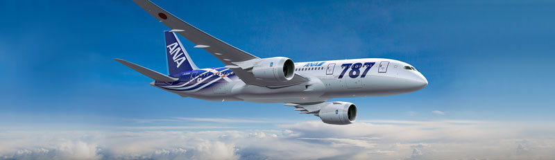 All Nippon Airways (ANA) Flights